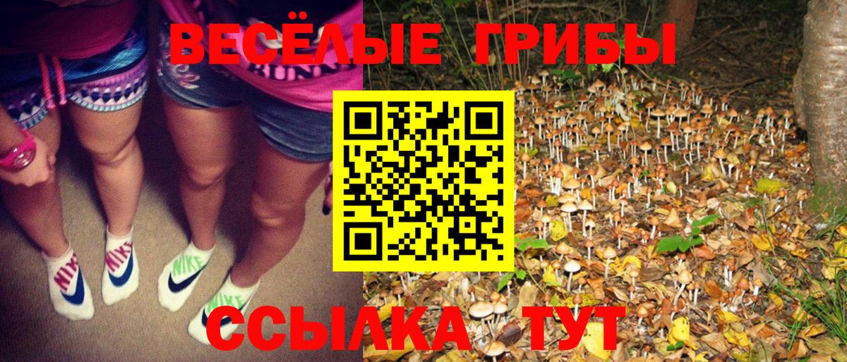 наркота  Вход с VPN  Псилоцибиновые грибы прущие грибы  Вольск  Галлюциногенные грибы ЛСД 