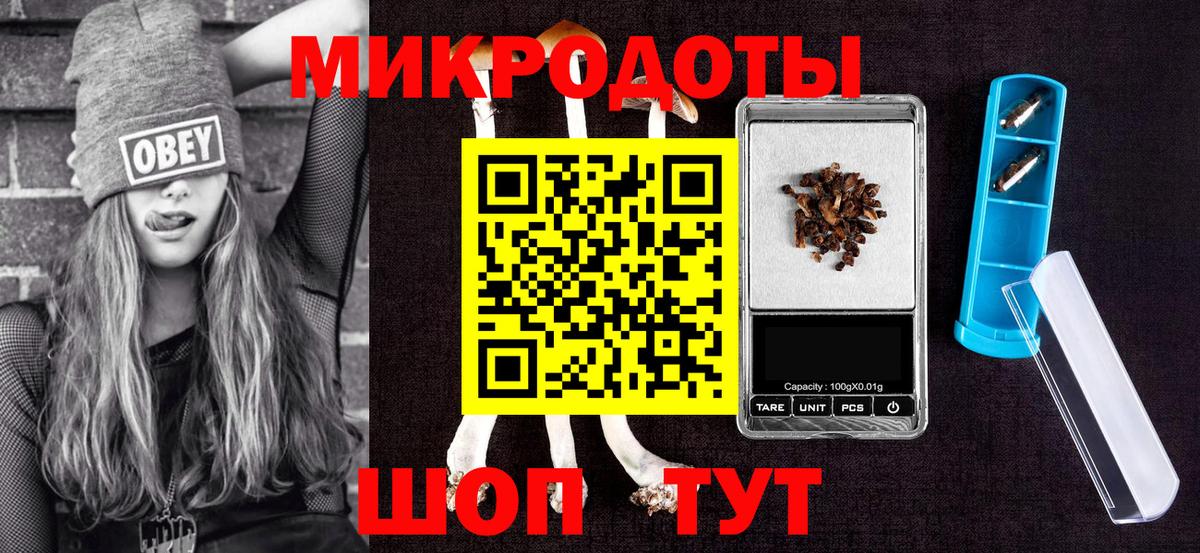 Псилоцибиновые грибы Psilocybine cubensis Вольск